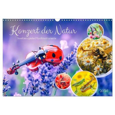 Konzert der Natur - Insekten spielen Musikinstrumente (Wandkalender 2026 DIN A3 quer), CALVENDO Monatskalender