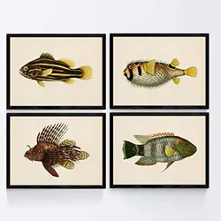 POSTER Set mit 4 FischWeinleseEffekt brauner gelber Ton A3 Rahmenlos