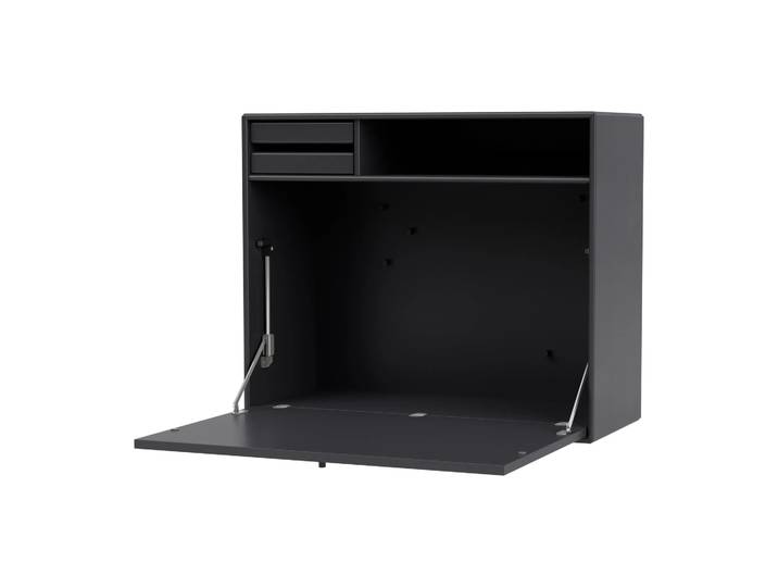 Montana Bureau mural STUDIO Anthracite 04