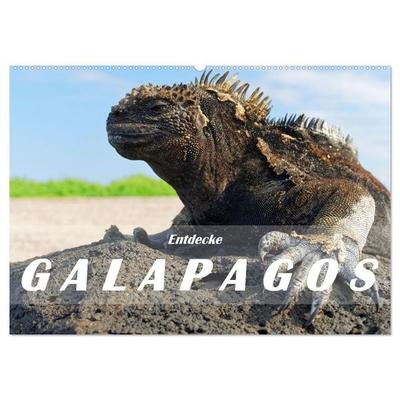 Entdecke Galapagos (Wandkalender 2026 DIN A2 quer), CALVENDO Monatskalender