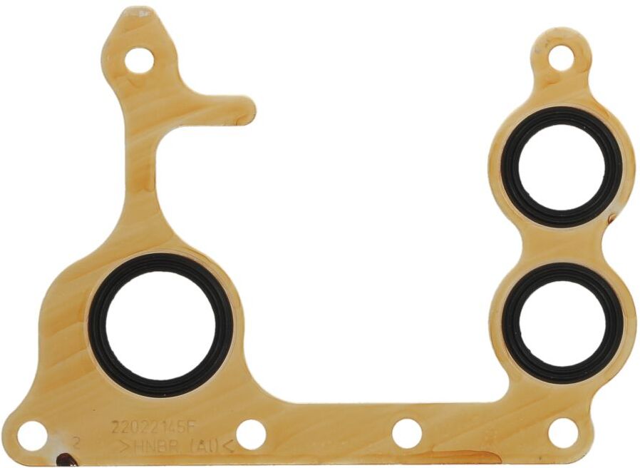 Vm Motori Guarnizione, radiatore olio VM22022145F