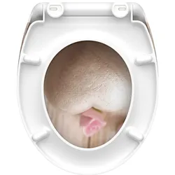 Schütte, WC Deckel, WC Sitz Duroplast WC-Sitz ROMANTIC Absenkautomatik Schnellverschluss Quick Release 82370 Herz