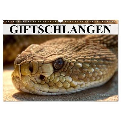 Giftschlangen (Wandkalender 2026 DIN A3 quer), CALVENDO Monatskalender