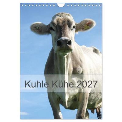Kuhle Kühe 2027 (Wandkalender 2027 DIN A4 hoch), CALVENDO Monatskalender