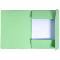 Exacompta, Mappe, Aktenmappe, DIN A4, Karton, pastellgrün (A4)