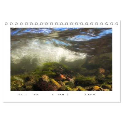 Unter Wasser in Bächen und Flüssen (Tischkalender 2026 DIN A5 quer), CALVENDO Monatskalender