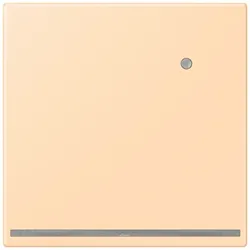 Jung LED-Orientierungslicht LC 1539-O LNW 223