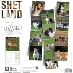 Martin Sellier, Kalender, Shetland