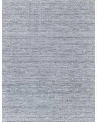 EXQUISITE RUGS Loro Indoor/Outdoor Flatweave PET yarn Light Silver Area Rug.