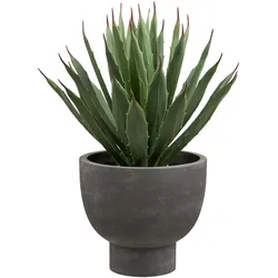 House Nordic Künstliche Agave im Topf, Grau/Grün - 31 x 32 x 41 cm