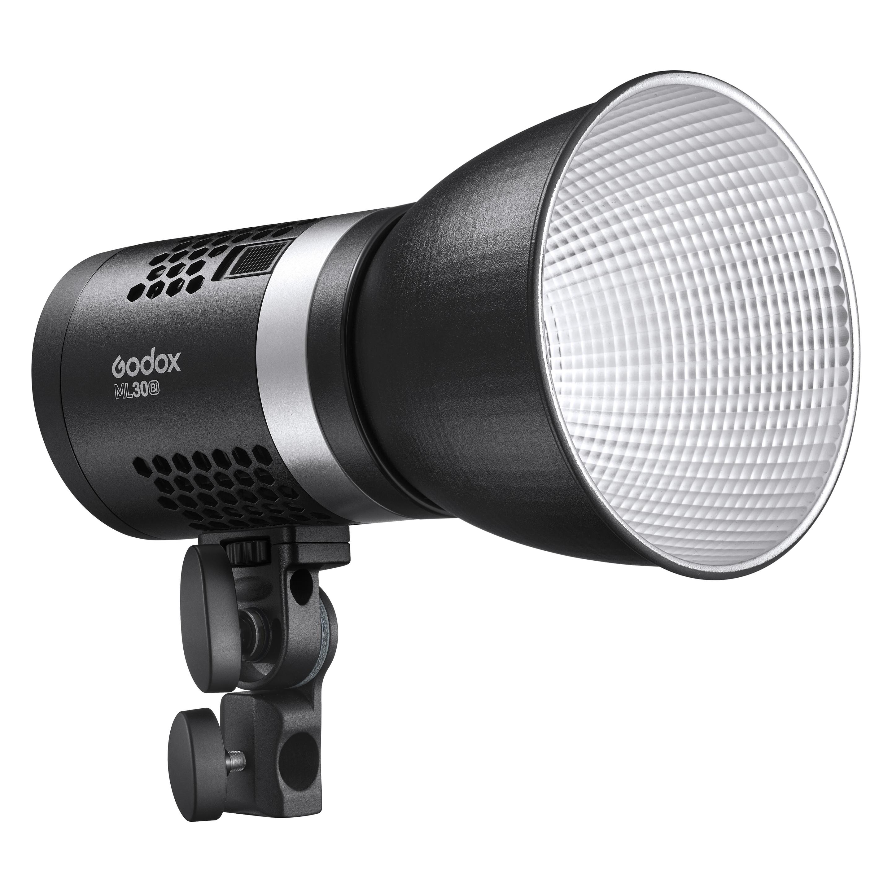 Godox ML30Bi (Videoleuchte) (ML30Bi)
