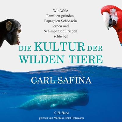 Die Kultur der wilden Tiere - Carl Safina, Audio, 9783944491950