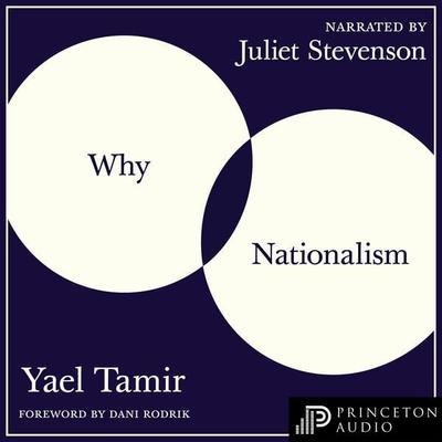 Why Nationalism - Yael Tamir, Audio, 9780691193557