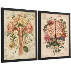 POSTER Set aus 2 Weibliche Anatomie Drucke und Wandbilder mit Gehirn und Gebärmutter Botanischer Retro Vintage Floraler Stil Größe Schwarzer Rahmen A4