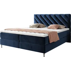 BOXBETT Enzo - H3