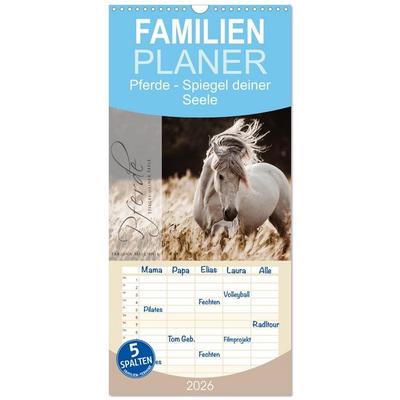 Familienplaner 2026 - Spiegel deiner Seele mit 5 Spalten (Wandkalender, 21 x 45 cm) CALVENDO