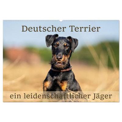 Deutscher Terrier - ein leidenschaftlicher Jäger (Wandkalender 2027 DIN A2 quer), CALVENDO Monatskalender
