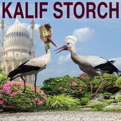 Kalif Storch - Wilhelm Hauff, Audio, 4061707167126