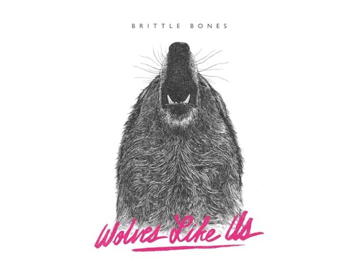 Brittle Bones