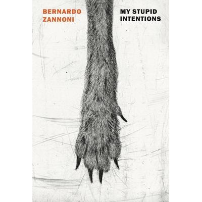 My Stupid Intentions, Taschenbuch von Bernardo Zannoni, Random House N.Y., 978-1-68137-728-5