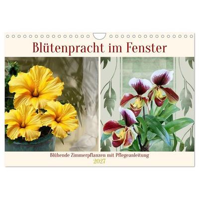 Blütenpracht am Fenster (Wandkalender 2027 DIN A4 quer), CALVENDO Monatskalender