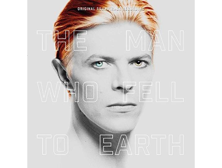 The Man Who Fell to Earth Ltd.Del.