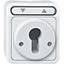 Merten Rollladentaster lichtgrau MEG3718-8029