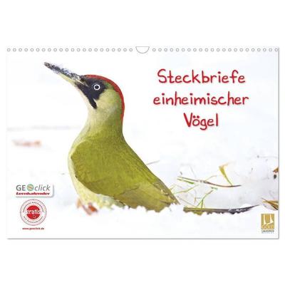 Steckbriefe einheimischer Vögel (Wandkalender 2027 DIN A3 quer), CALVENDO Monatskalender