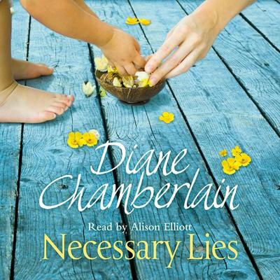 Necessary Lies - Diane Chamberlain, Audio, 9781509811922
