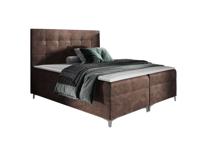 BOXBETT Snake - H3
