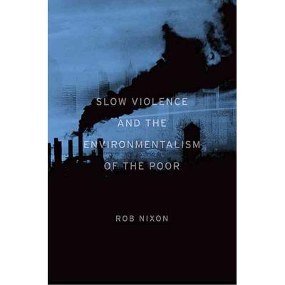 Nixon, R: Slow Violence and the Environmentalism of the Poor, Gebundene Ausgabe von Rob Nixon, De Gruyter Mouton, 978-0-674-04930-7