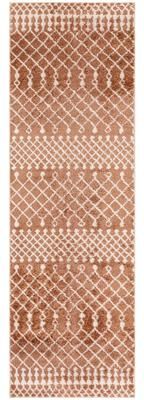 Nourison Astra Machine Washable Moroccan Area Rug