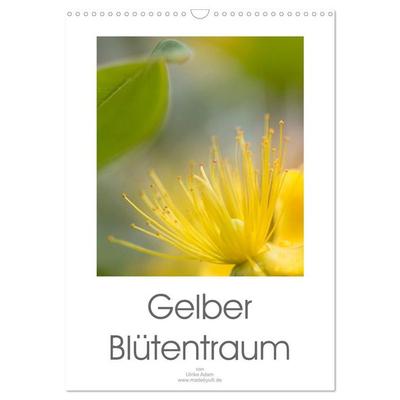 Gelber Blütentraum (Wandkalender 2027 DIN A3 hoch), CALVENDO Monatskalender