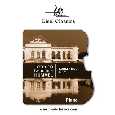 Concertino Op. 73 -