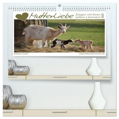 Mutterliebe - Ziegen mit ihren süßen Lämmern (hochwertiger Premium Wandkalender 2026 DIN A2 quer), Kunstdruck in Hochglanz