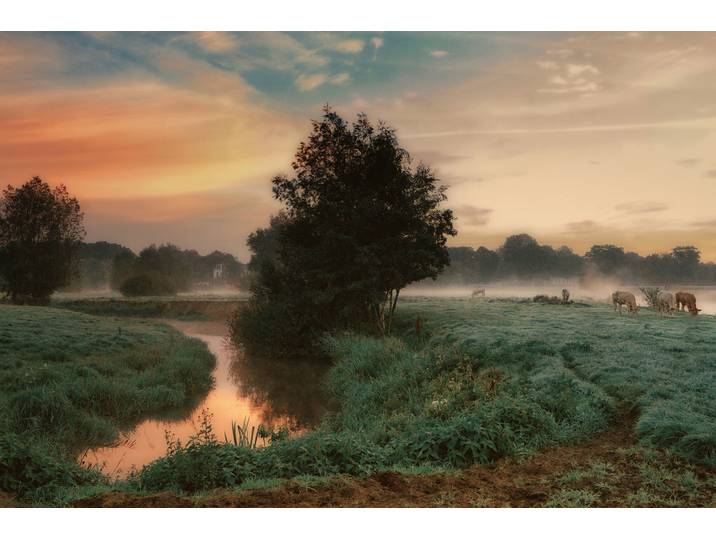 Papermoon Photo-Art SASKIA DINGEMANS, NEBLIGER TRAUM
