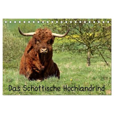 Das Schottische Hochlandrind (Tischkalender 2026 DIN A5 quer), CALVENDO Monatskalender