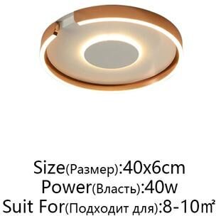 Uplifted Goods Modern LED Ceiling Light In Rose Gold White Or Black For Indoor Home Lighting b Rose Gold 40cm changeable