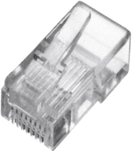 Digitus A-MO 8/8 SR CAT 5e RJ45 Modular-Stecker, ungeschirmt A-MO 8/8 SR Stecker, gerade Polzahl Sensoren 8P8C