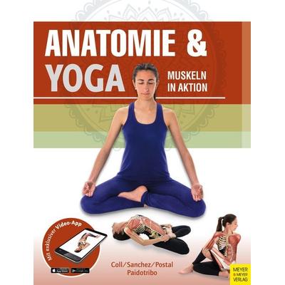 Anatomie & Yoga, Set von , Meyer & Meyer, 978-3-8403-7606-1