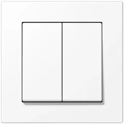 Jung Matter Taster 2f MATS A 550 595 WWM