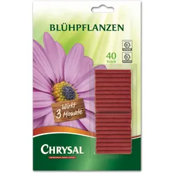 Chrysal Blühpflanzen Düngestäbchen - 40 Stück