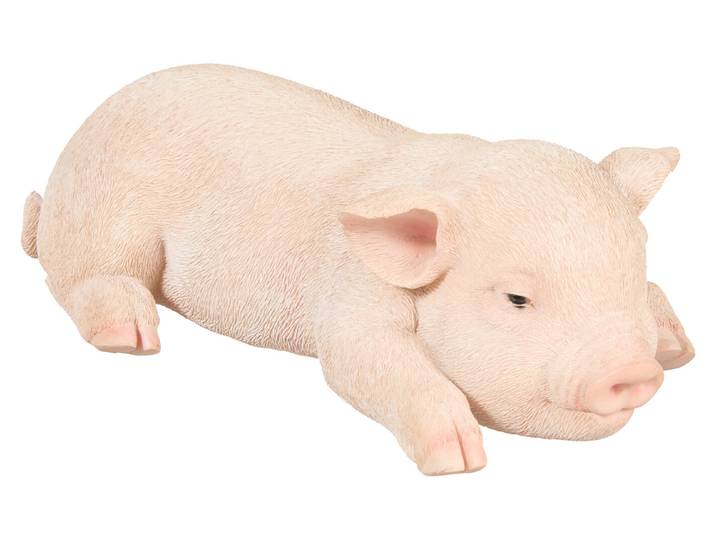 Vivid Minipig Schlafend 6.5 × 11.7 × 20.3 cm