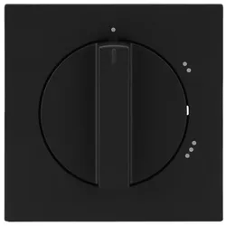 Busch-Jaeger Zentralscheibe 2542 DR/02-45M