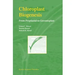 Chloroplast Biogenesis, Fachbücher von Udaya C. Biswal, M. K. Raval
