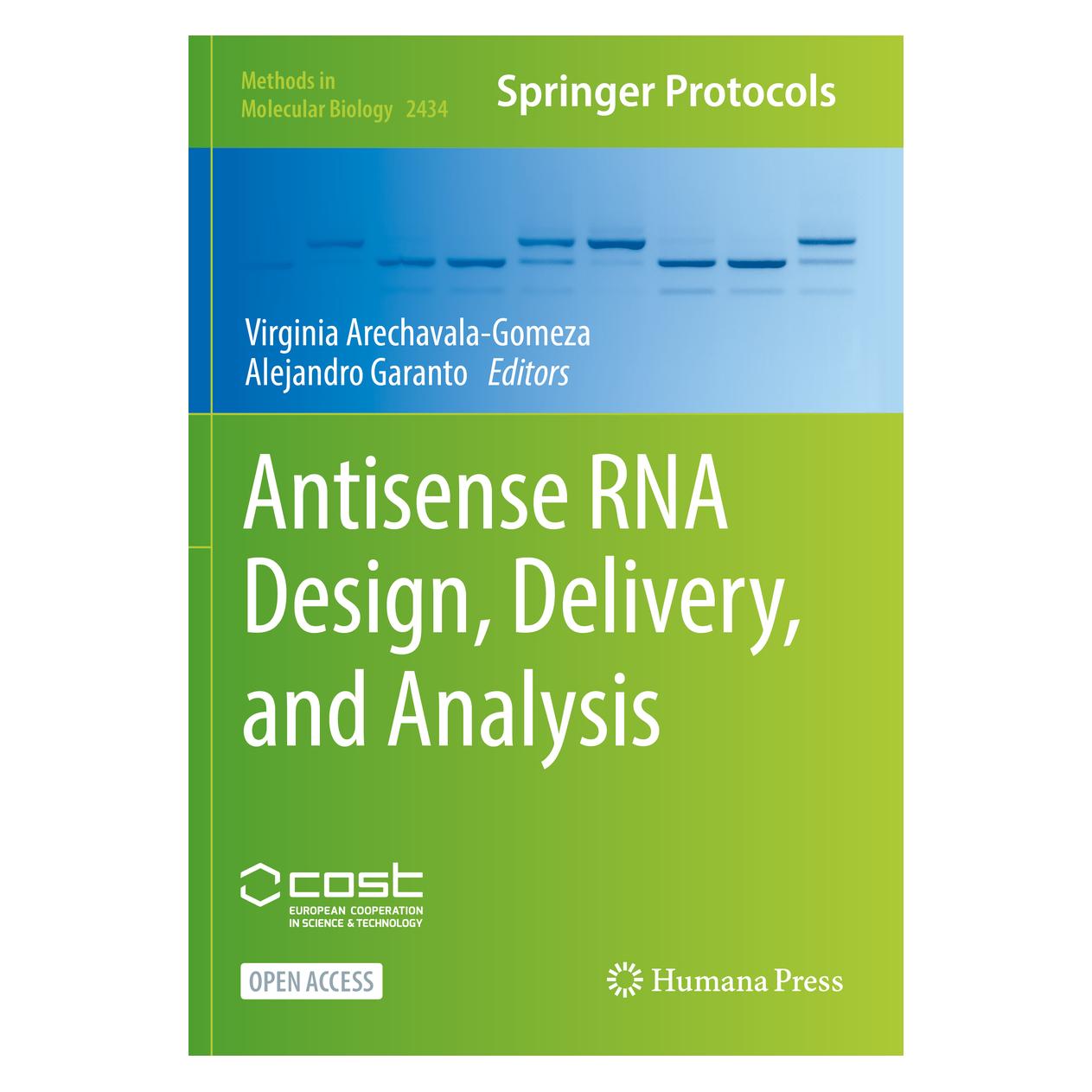 Springer Antisense RNA Design, Delivery, and Analysis (Englisch, Softcover, Alejandro Garanto, Virginia Arechavala-Gomeza) (56210053)