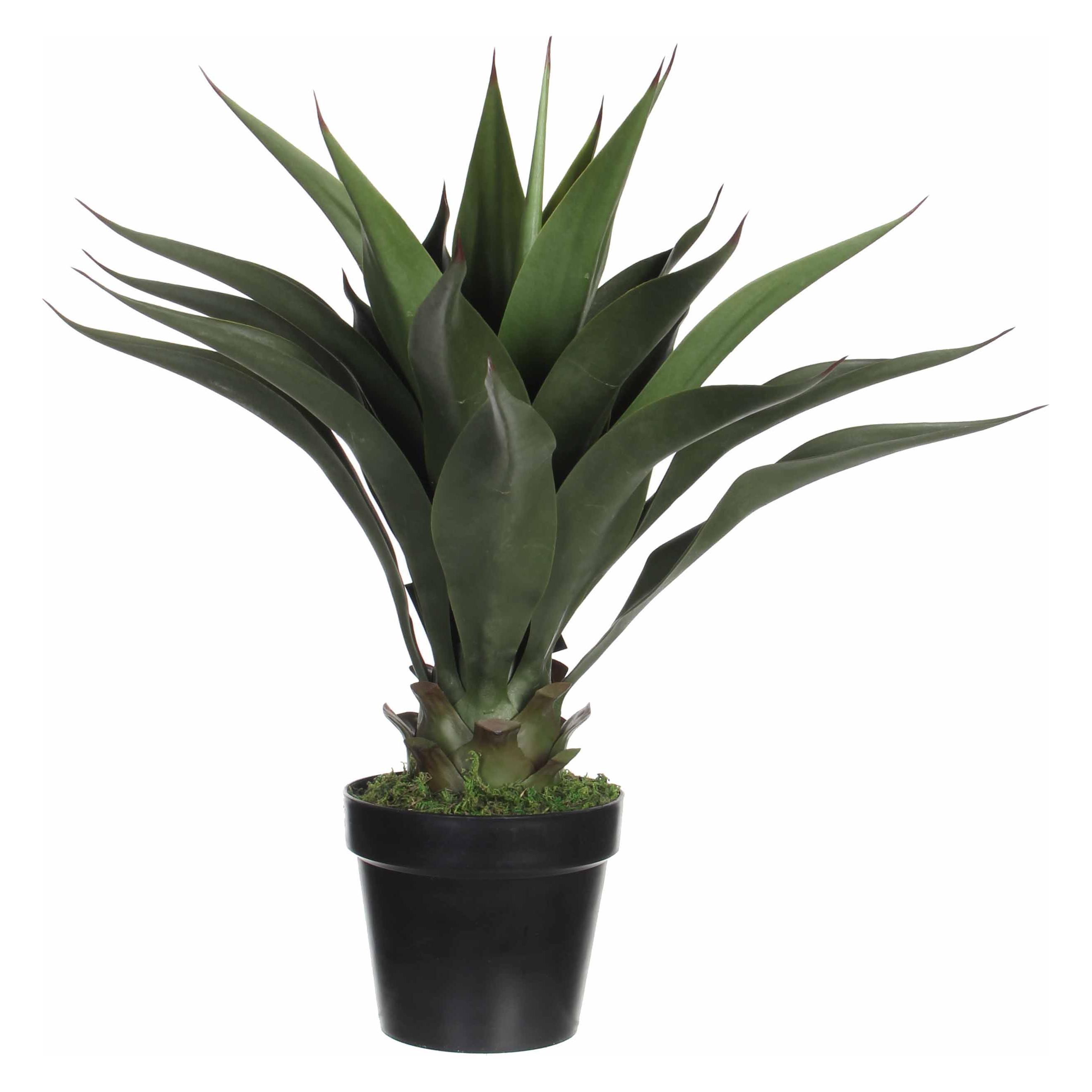 Mica Decorations Agave Kunstpflanze - H60 x Ø25 cm (60 cm) (1026435)