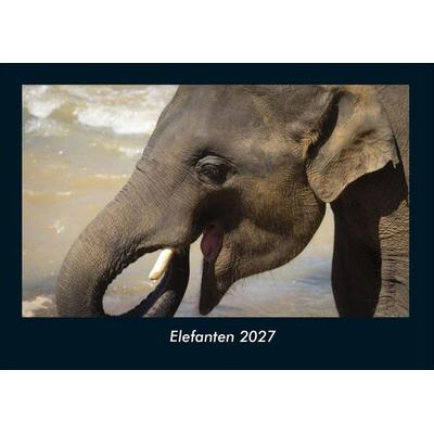 Elefanten 2027 Fotokalender DIN A4