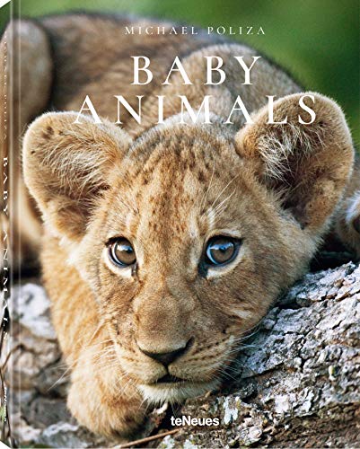 Michael Poliza - Michael Poliza Baby Animals - Preis vom 17.10.2026 19:25:27 h