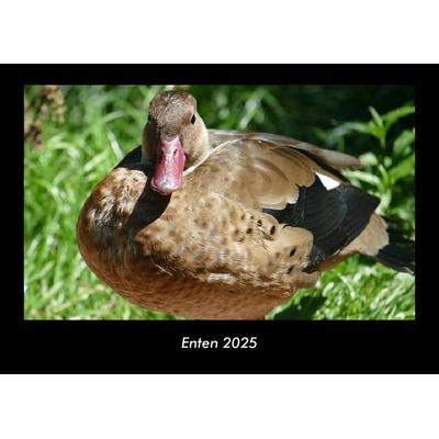 Enten 2025 Fotokalender DIN A3